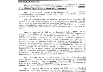 IMAGEN-1